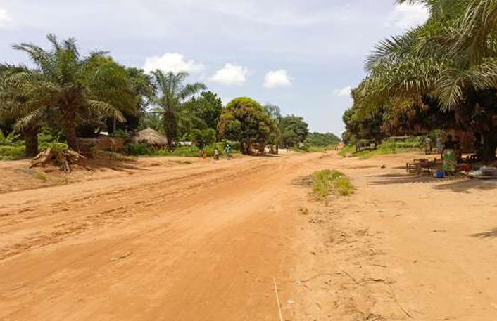 RESUME PROJ. AMENAGEMENT ET DE BITUMAGE DES VOIES D ACCES AU  PARC AGRO-INDUSTRIEL DE NGANDAJIKA ET AU CENTRE AGRICOLE DE  NKUADI