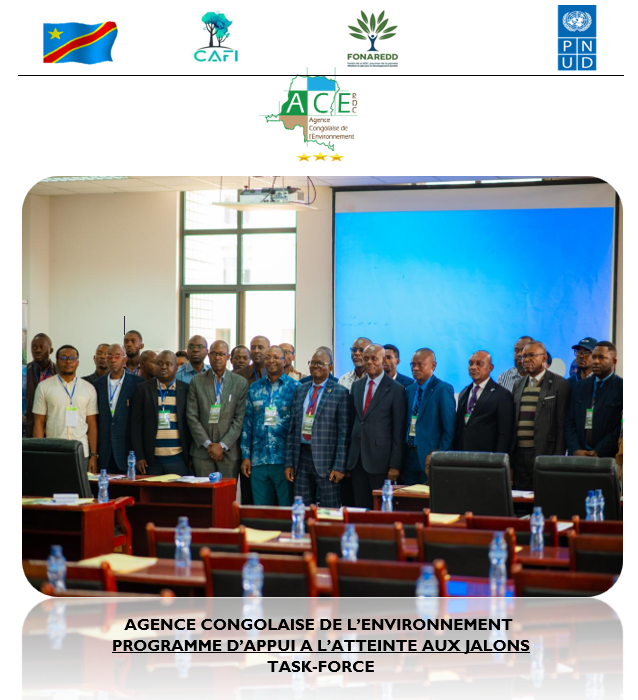 ACE  PROGRAMME D’APPUI A L’ATTEINTE AUX JALONS TASK-FORCE