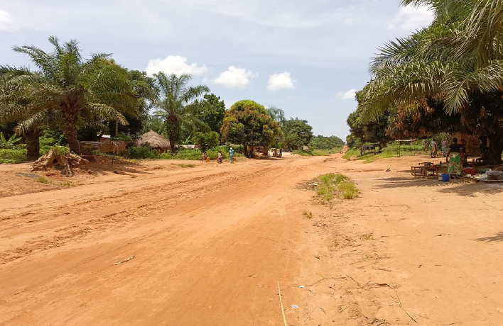 PROJET D’AMENAGEMENT ET DE BITUMAGE DES VOIES D’ACCES AU PARC AGRO-INDUSTRIEL DE NGANDAJIKA ET AU CENTRE AGRICOLE DE NKUADI   LOT 1 : AXE ROUTIER LUKALABA - NGANDAJIKA (44 Km)